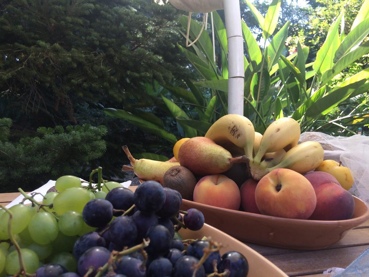 Arnesano B&B Villa Giuliana מראה חיצוני תמונה